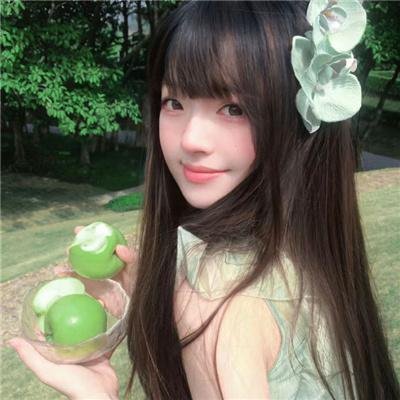 菊花香海报