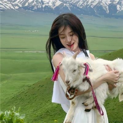 孤筏重洋海报